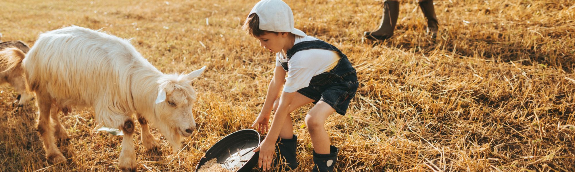 What Should Farm Families Review With Their Bank Before Year-End?